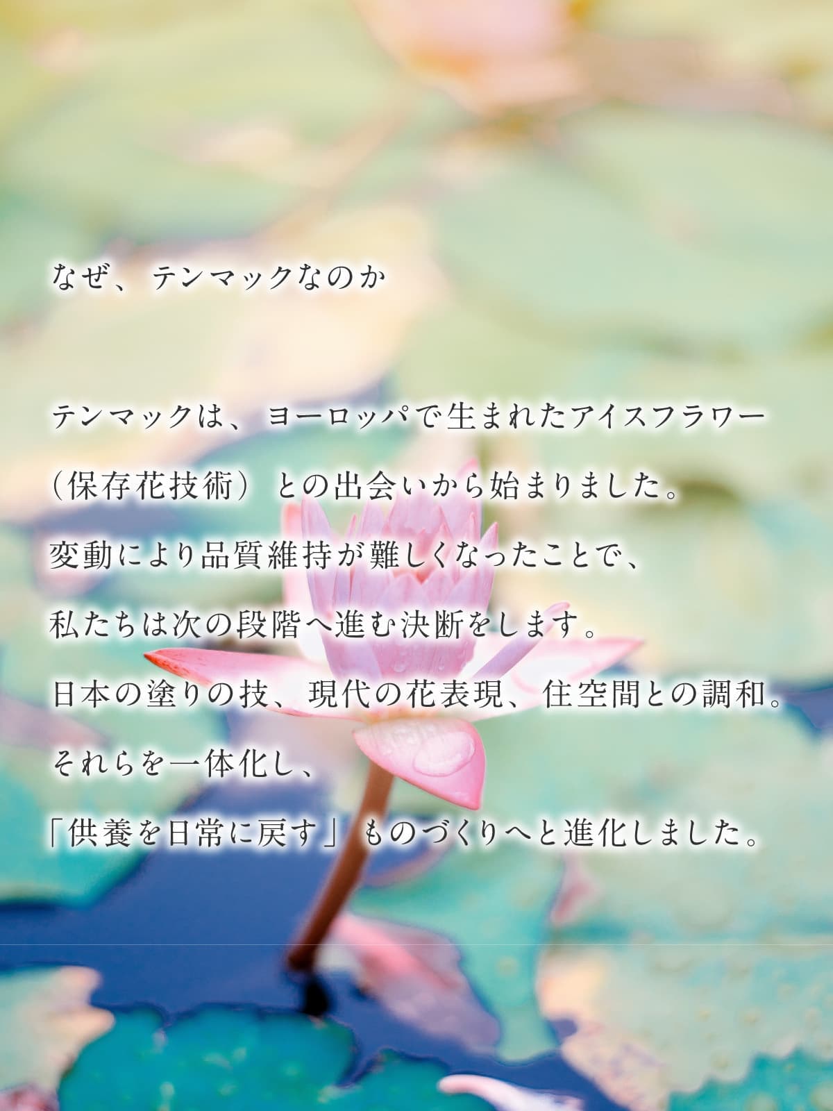 sp_04.jpg